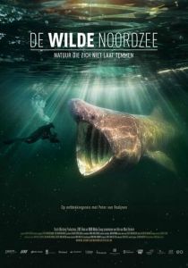 Дикое Северное море 2024