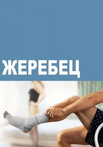 Жеребец 2009