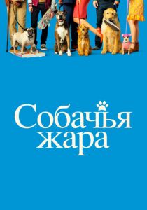 Собачья жара 2018