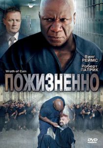 Пожизненно 2010