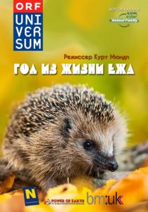 Год из жизни ежа 2009