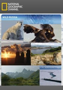Дикая природа России 2008
