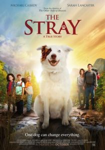 The Stray 2017