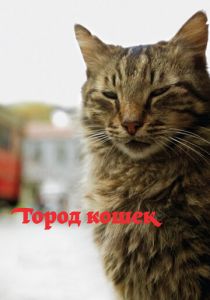 Город кошек 2016