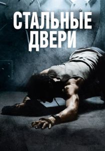 Стальные двери 2010