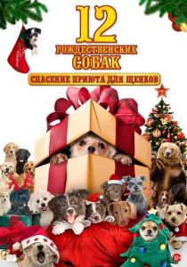 12 рождественских собак: Спасение приюта для щенков 2012