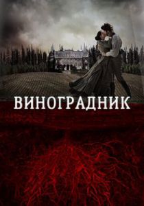 Виноградник 2013
