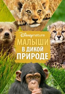 Малыши в дикой природе 2015