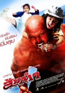 Сомтум 2008
