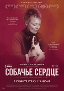 Собачье сердце 2015