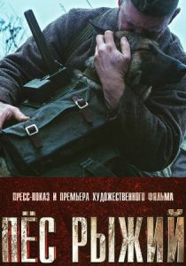 Пёс рыжий 2016