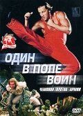 Один в поле воин 1994