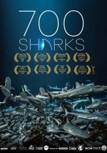 700 акул 2019
