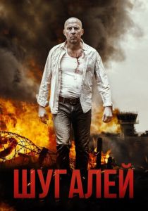 Шугалей 2020