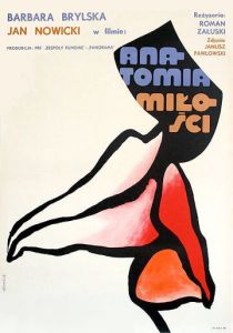 Анатомия любви 1972