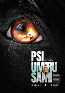 Psi umiru sami 2019