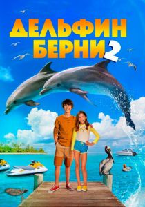 Дельфин Берни 2 2019