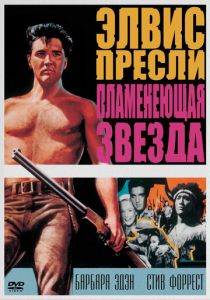 Пламенеющая звезда 1960