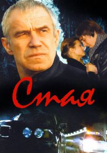 Стая 2008
