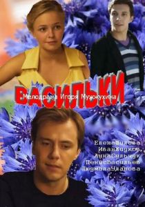 Васильки 2013