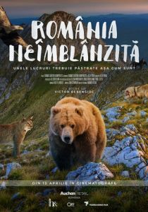 Дикая Румыния 2018