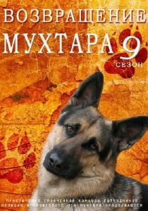 Возвращение Мухтара 9 2013