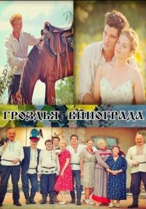 Гроздья винограда 2016