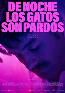 De noche los gatos son pardos 2022