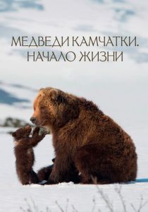 Медведи Камчатки. Начало жизни 2018