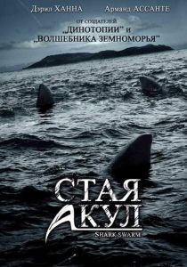 Стая акул 2008