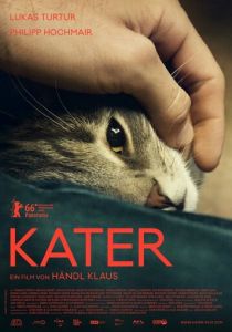 Кот 2016
