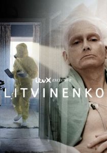Литвиненко 2022