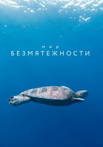 Мир безмятежности 2020