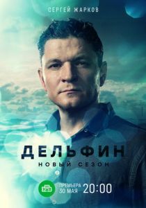 Дельфин 2019