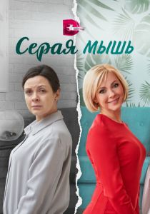 Серая мышь 2023