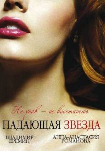 Падающая звезда 2009