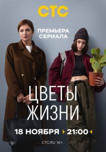 Цветы жизни 2024