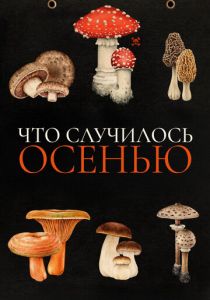 Что случилось осенью 2024