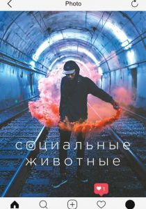 Социальные животные 2018