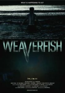 Weaverfish 2013