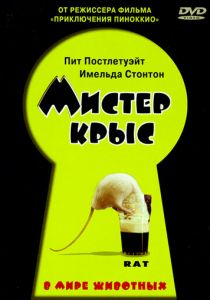 Мистер крыс 2000