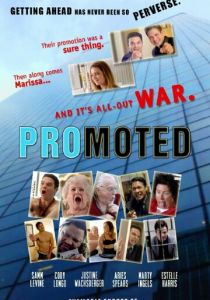Promoted 2015