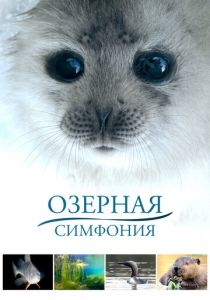 Озерная симфония 2016