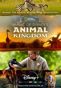 Magic of Disney's Animal Kingdom 2020