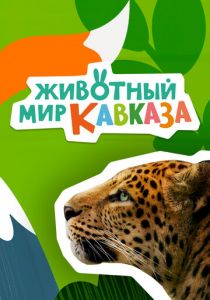 Животный мир Кавказа 2022
