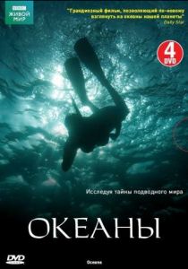 Океаны 2008