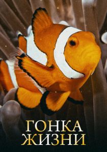 Гонка жизни 2015