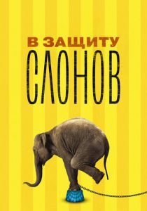 В защиту слонов 2013
